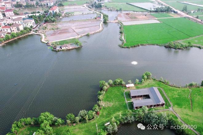 鱼蚌混养300亩产值超千万？诸暨“珍珠王子”带你探秘500亿级珍珠产业(图1)