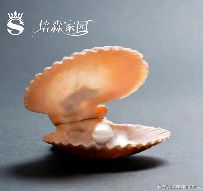 揭秘！蚌壳里的珍珠诞生记(图1)