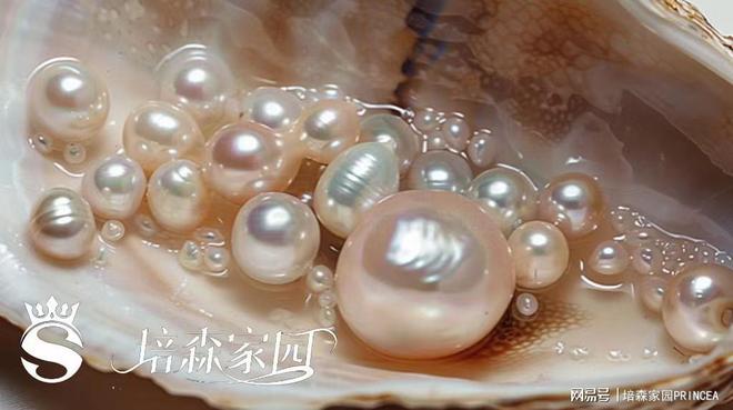 揭秘！蚌壳里的珍珠诞生记(图3)