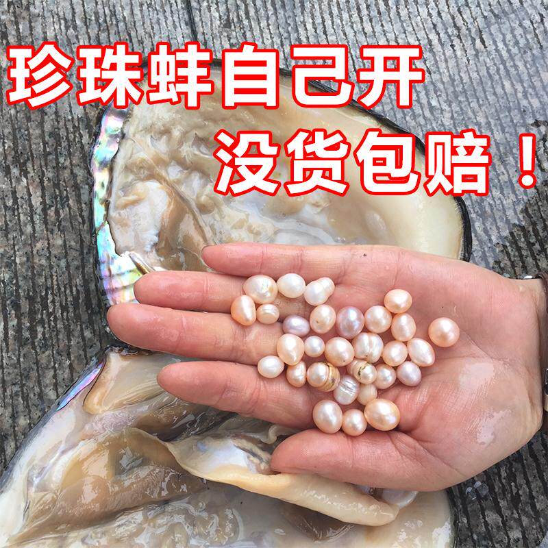 特种水产养殖课件第二章珍珠养殖ppt(图1)