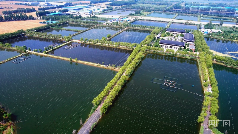 何以中国·青绿人间丨一粒珍珠激活塌陷地“转型密码”(图1)