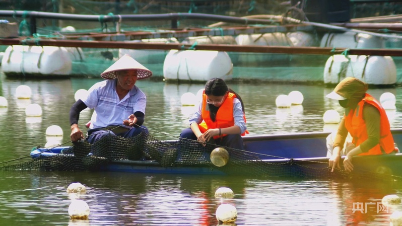 何以中国·青绿人间丨一粒珍珠激活塌陷地“转型密码”(图4)